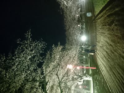 <?= (夜桜) ?>